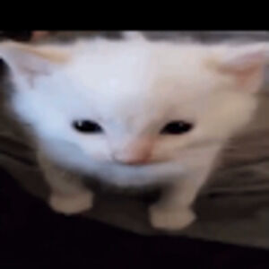 Meet your Posher, Chloe